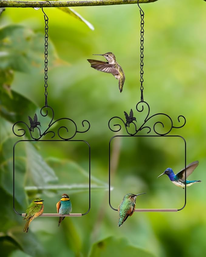 PACETAP Hummingbird Swings and Perches Metal Frame 2 Pack, Wild Bird Swing - Image 7