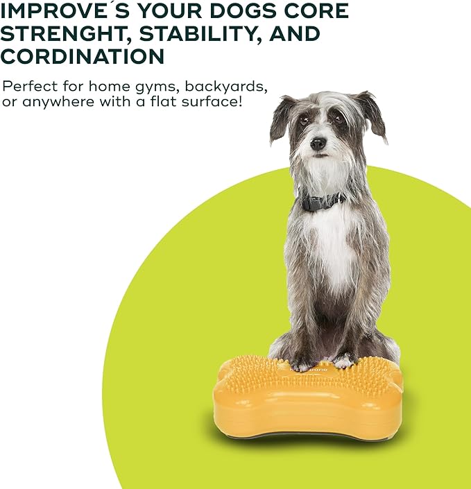 Mini K9fitbone Balance Training Platform - Image 6