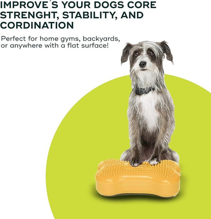 Mini K9fitbone Balance Training Platform - Image 6