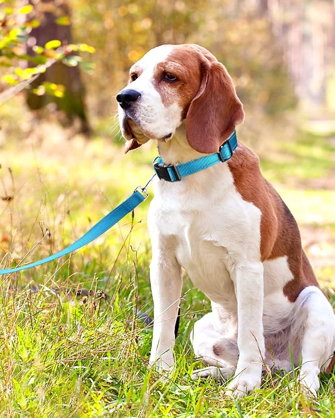 Reflective Dog Collar with Buckle Adjustable Safety Nylon Collars - Image 6