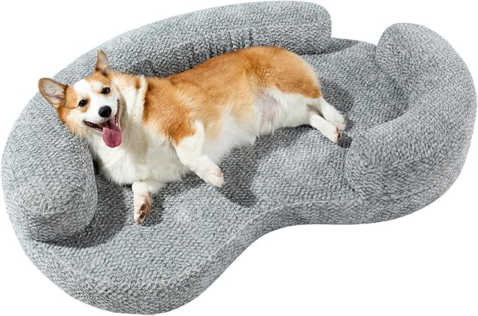 Orthopedic Memory Foam Dog Bed for Medium Sized Dog by DogTender