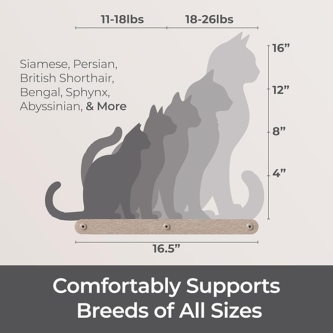 Wall Mounted Cat Perch Long Shelf by Pryde Pets - Image 6