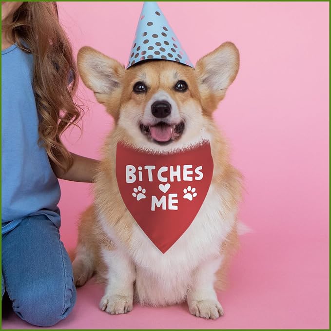 Funny Dog Birthday Bandana Boy Girl Pets Birthday Gift - Image 6