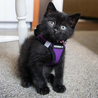 Best Pet Supplies Voyager Step-in Air Harness - Image 8