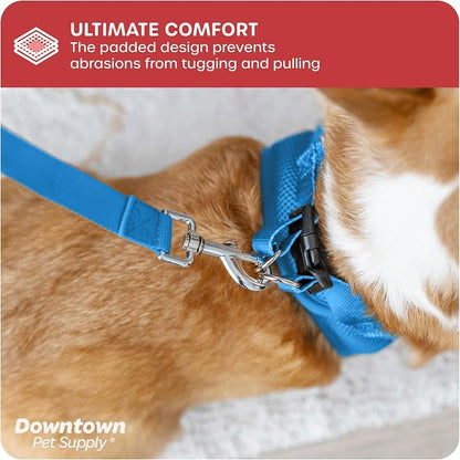 Downtown Pet Supply Step in Dog Harness - Image 6