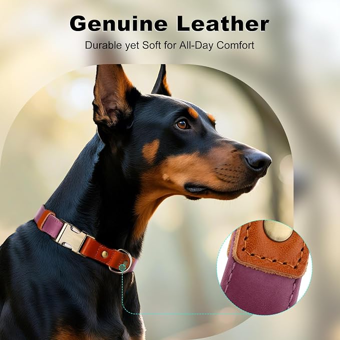 Plutus Pet Genuine Leather & Hemp Dog Collar – Adjustable Heavy Duty Pet Collar - Image 3