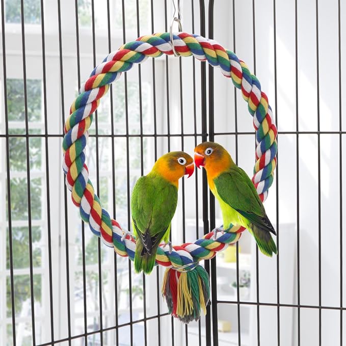 Bird Rope Swing Colorful Perch Climbing Toy - Image 6