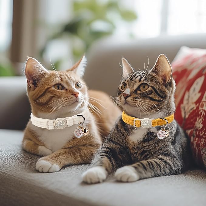 2 Pack Corduroy Cat Collars - Image 2