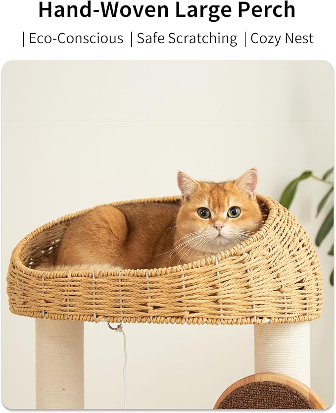 Wood Cat Tree for Large Cats, Modern Cat Tree Tower - Image 3