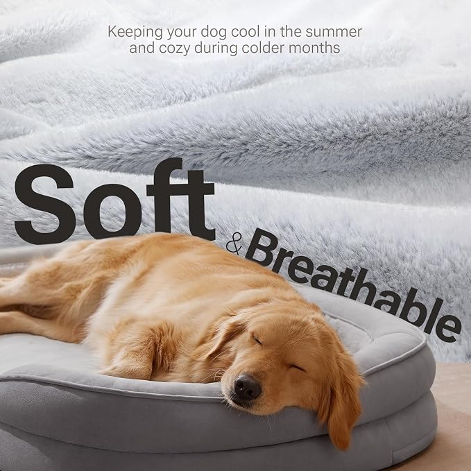 Soft Touch Orthopedic XL Dog Bed - Image 2