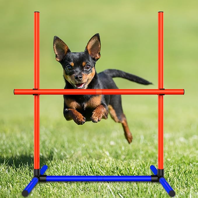 Dog Agility Training Jumping Hoop - Image 6