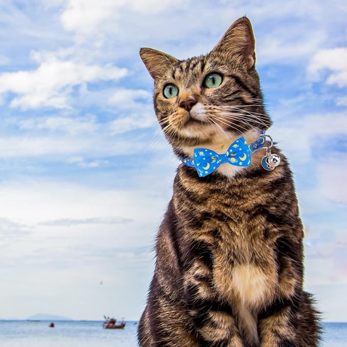 SCENEREAL Breakaway Cat Collar - Image 6