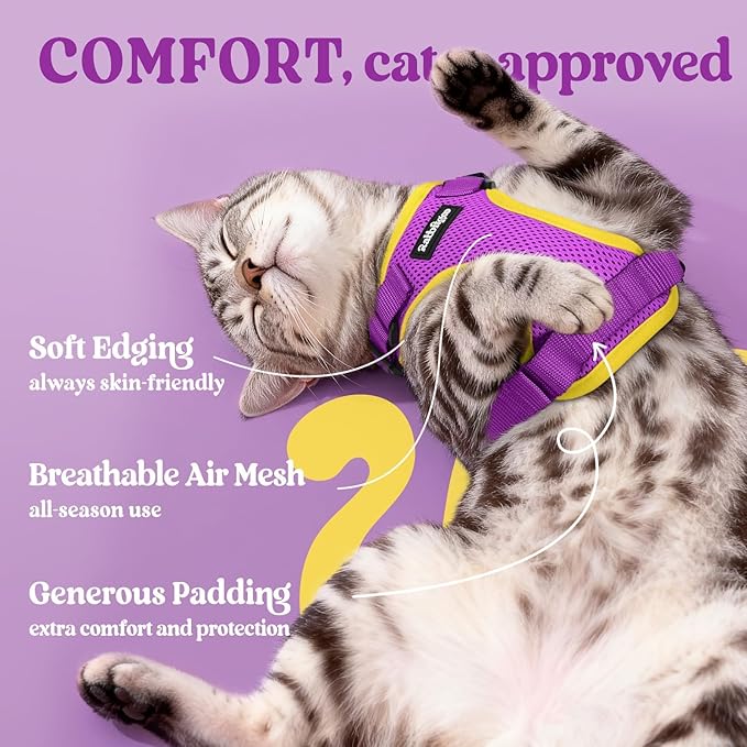 rabbitgoo Cat Harness and Leash - Image 4