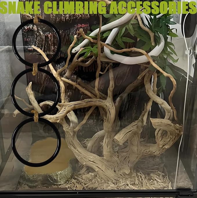 Snake Enrichment Toys Ball, Jungle Gym Ball and Enrichment Rings - Image 4