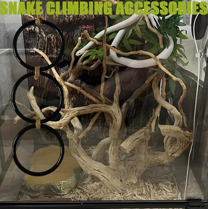 Snake Enrichment Toys Ball, Jungle Gym Ball and Enrichment Rings - Image 4