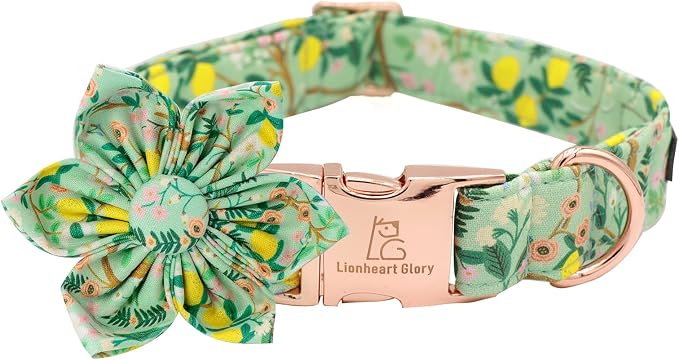 Lionheart Glory Dog Collar, Dog Collar by LionheartGlory