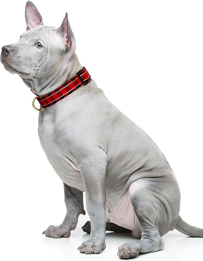 Reflective Dog Collar for Medium Dogs, Cute Boho Adjustable Heavy-Duty Nylon - Image 2