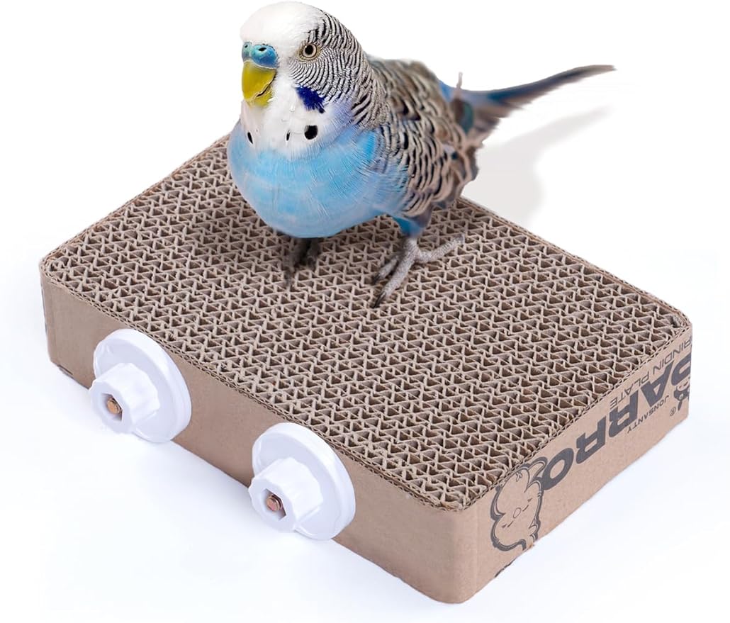 7.3 Inch Paper Bird Toys, Bird Platform, Parrot Toy, Help Birds Clean Beak by JONS%CE%9BNTY