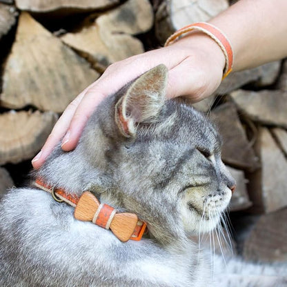 Pettsie Breakaway Cat Collar - Image 2