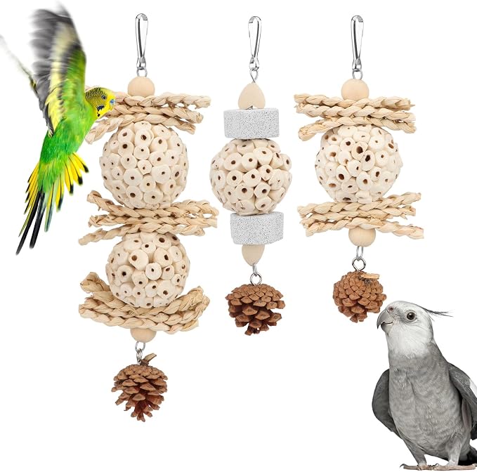 Wontee Bird Toys 3 Pack Parrot Foraging Hanging Toys Sola Ball Natural Nuts by Wontee