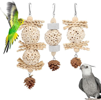 Wontee Bird Toys 3 Pack Parrot Foraging Hanging Toys Sola Ball Natural Nuts by Wontee
