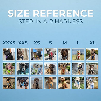Best Pet Supplies - Image 6