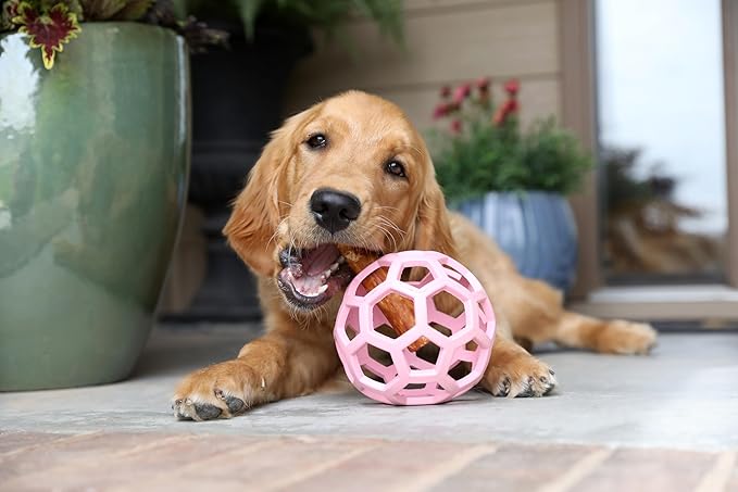 JW Pet HOL-ee Roller™, Dog Toy Puzzle Ball, Natural Rubber - Image 4