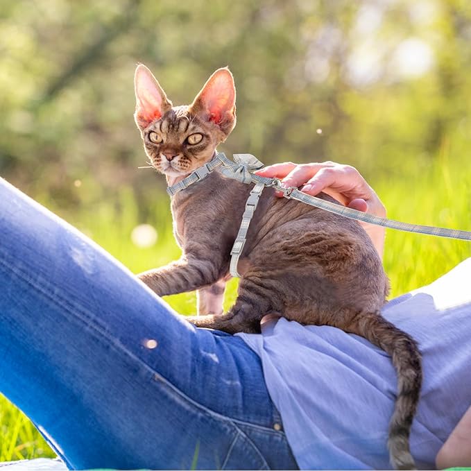 TIESOME Cat Harness and Leash Set, Adjustable Gradient Kitten Harness Escape - Image 6
