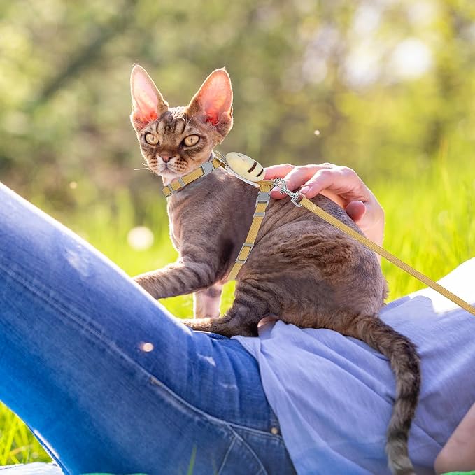 TIESOME Cat Harness and Leash Set, Adjustable Gradient Kitten Harness Escape - Image 6