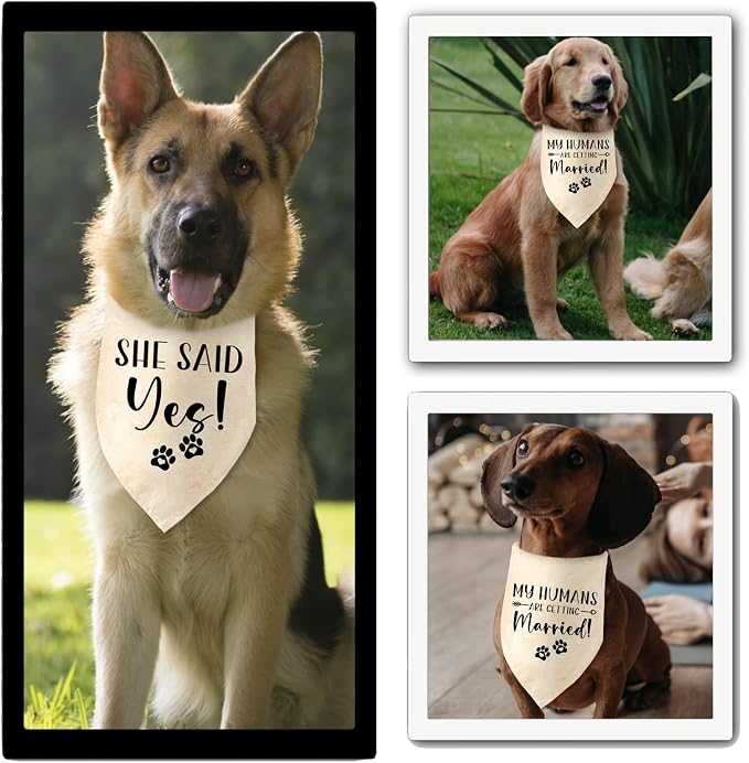 Engagement Gifts My Humans are Getting Married! SHE Said Yes! Pet Bandana Scarf - Image 5