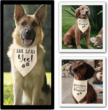 Engagement Gifts My Humans are Getting Married! SHE Said Yes! Pet Bandana Scarf - Image 5