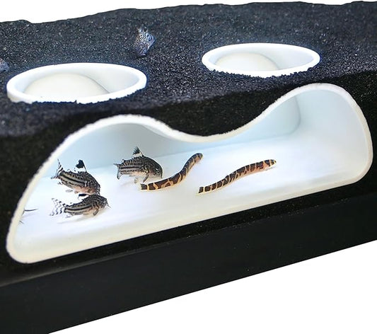Aquarium Underground Tunnel Cave Natural Curve Two Hole | Viewing Fish & Shrimp by LuckyCritterCo