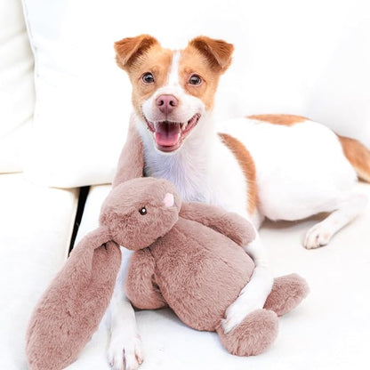 Best Pet Supplies Interactive Squeaky Dog Chew Toy, Ideal Dog Toys - Image 6