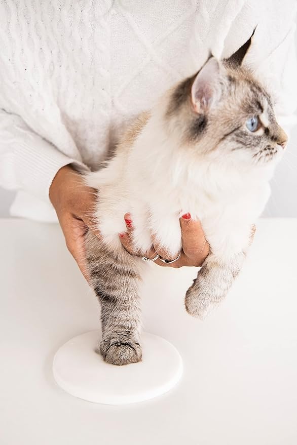 Pearhead Pet Paw Print Keepsake Ornament Kit, Memorial Clay Paw Impression - Image 8