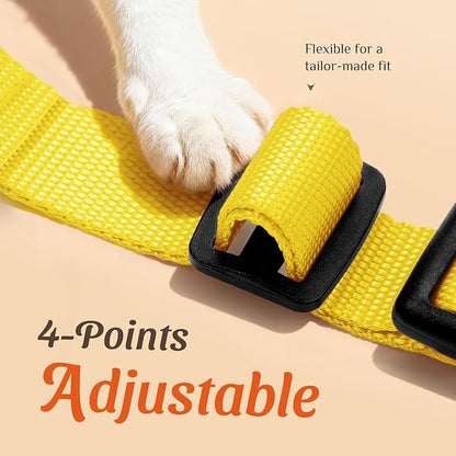 Dooradar Cat Harness and Leash Set, Escape Proof Safe Adjustable Kitten Vest - Image 3