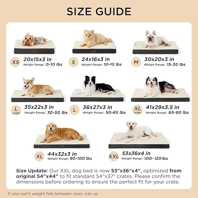 Bedsure Dog Bed for Small Dogs - Image 7