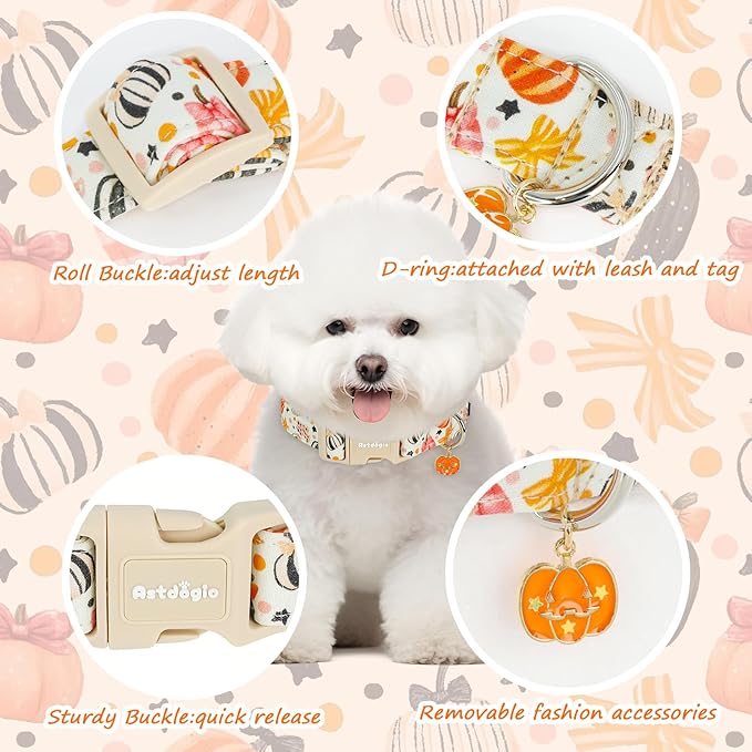 Halloween Dog Collars, Fall Dog Collar - Image 4