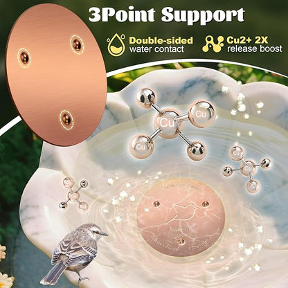NNG 3 Pack Bird Bath Copper Disk, 1mm Thick Reinforced 99.9% Pure Copper Bird - Image 4