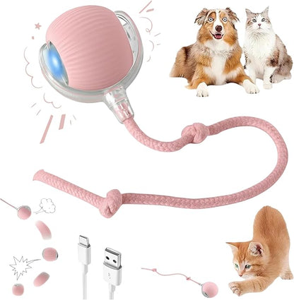 Interactive Electric Automatic Rolling Moving Rechargeable Self Play by Unknown