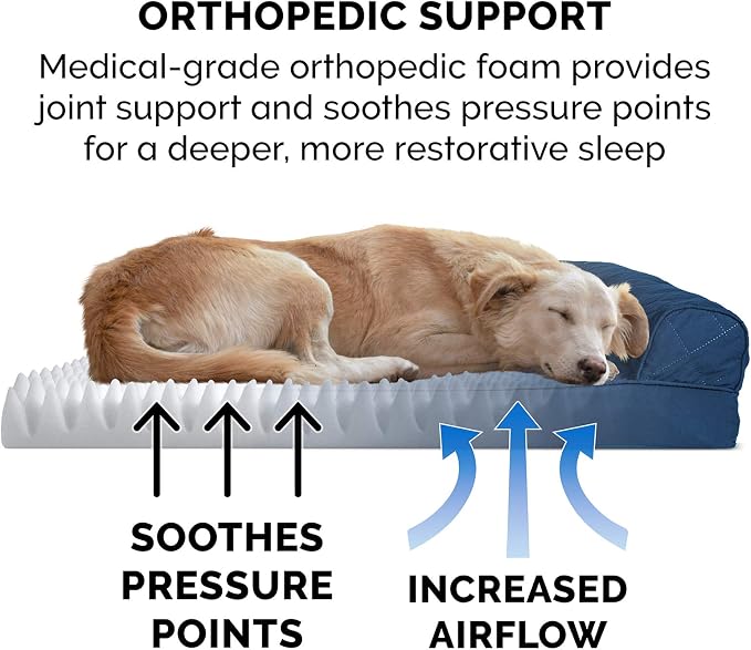 Furhaven Orthopedic Dog Bed for Medium/Small Dogs w/ Removable Bolsters & - Image 5