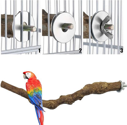 Allazone 4-Piece Bird Perch - Image 7