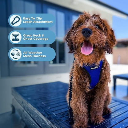 Best Pet Supplies Voyager Step-in Air All Weather Mesh Harness and Reflective - Image 5