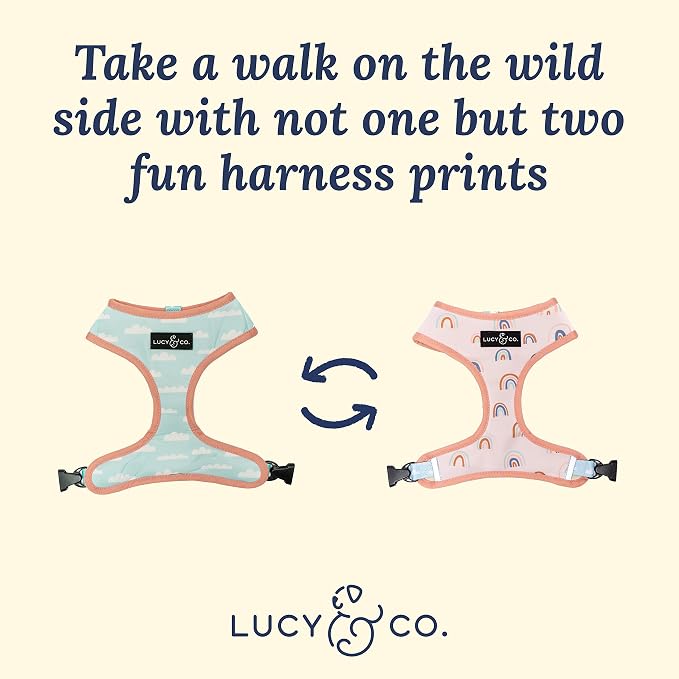 Lucy & Co. in The Clouds, Cute Reversible Dog Harness Walking Halter - Image 3