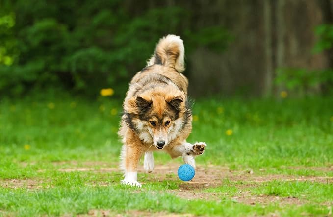 Snug Rubber Dog Balls for Small and Medium Dogs - Image 5