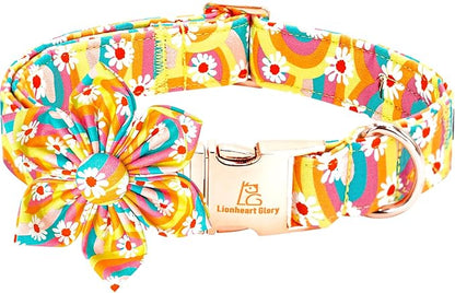 Lionheart glory Dog Collar by LionheartGlory