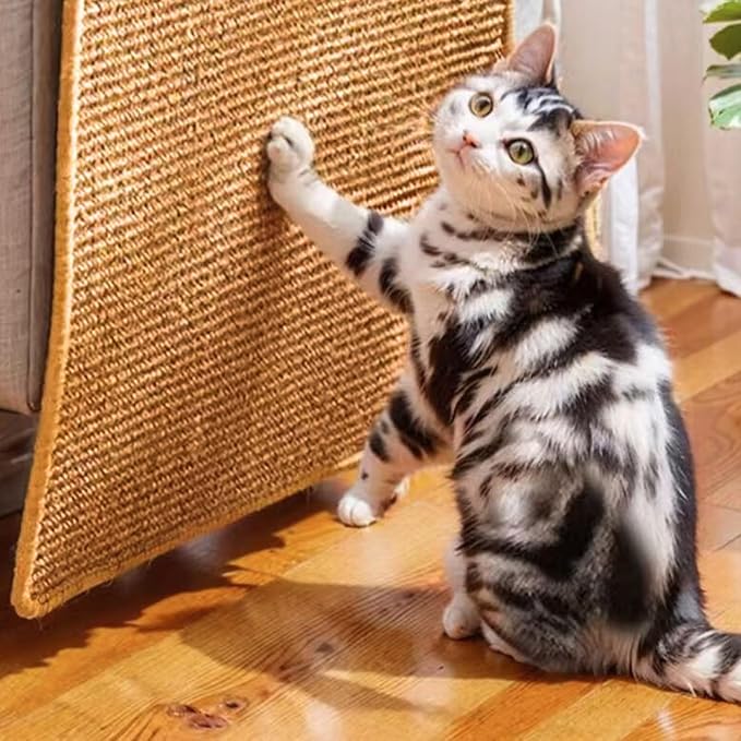 Cat Scratcher Mat, 23.6 X 15.7 Inch, sisal cat scratchers - Image 3