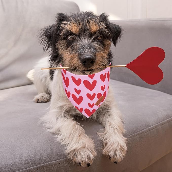 PTDECOR Valentine Dog Bandana, Reversible Valentine Pet Scarf - Image 3