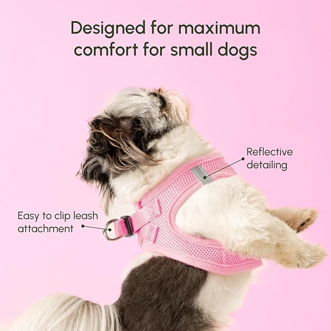 Downtown Pet Supply Step in Dog Harness - Image 4