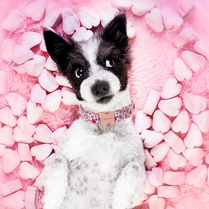 Unique style paws Valentine's Dog Collar Metal Buckle Puppy Collar XO Red Lips - Image 3