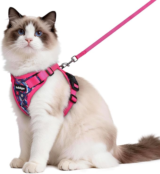 rabbitgoo Cat Harness and Leash by rabbitgoo
